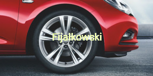 Felga aluminiowa 18" – 5-ramienna podwójna