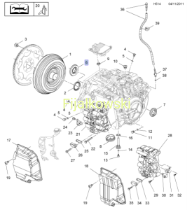 Uszczelka oleju (wał napędowy-mechanizm różnicowy)