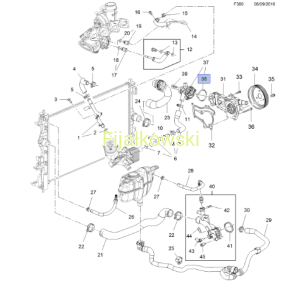 USZCZELKA TERMOSTAT