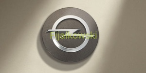 Osłona piasty koła – okrągła, szczotkowane aluminium