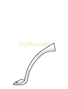 WYPRASKA WNĘKI KOŁA PRAWY TYŁ CORSA C COMBO C