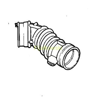 4T5456.jpg