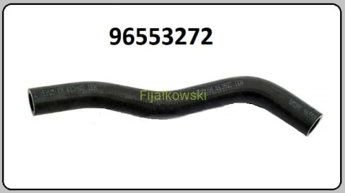 889.jpg
